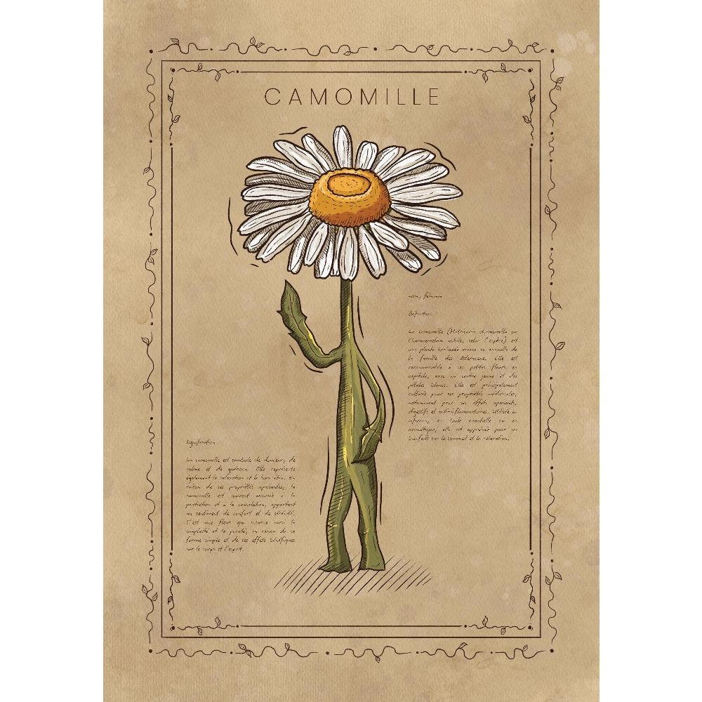 

Vintage Floral Garden Poster Fun Sunflower Daisy Botanical Prints Country Farmhouse Canvas Painting Gallery Wall Home Room Decor 21X30CMNo Framed