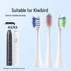 Kiwibird K5/K3 Electric Toothbrush Replacement Head - High Polish Round Bristles