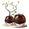Light Luxury Vase with Thickened Caramel Colored Glass Vase Living Room Bedroom Dining Table Flower Vase, Soft Decoration Decor