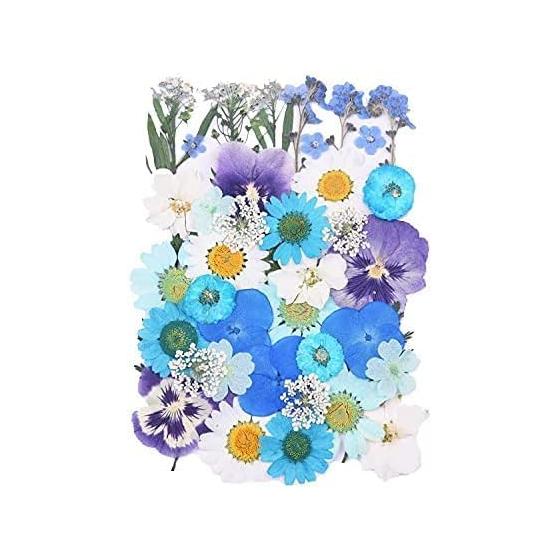 Blue Light Blue Pressed Dried Flower Set Blue, Navy Blue, Viola, Hydrangea, North Pole, Lace Flower, Leaves, Violet, Violet, Leaf White, 13 types of