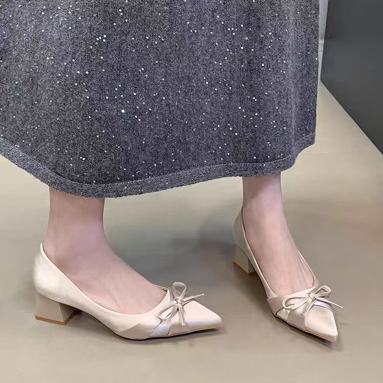 

French fairy style versatile elegant single shoes 2025 new temperament satin pointed thick heel legs long high heels 40