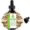 Pure Herbs Angelica Root (Angelica Archangelica) Pure & Natural Therapeutic Grade Essential Oil Plastic with Dropper