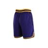 Nike Dri Fit Basketball Shorts Men's All over Purple DH9176-504
