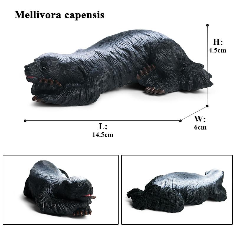 Oenux Symulacja Nowe Figurki Dzikich Zwierząt Borsuk Miodojad Mellivora Capensis Model Figurki Akcji Edukacyjny Prezent Zabawka dla Dzieci