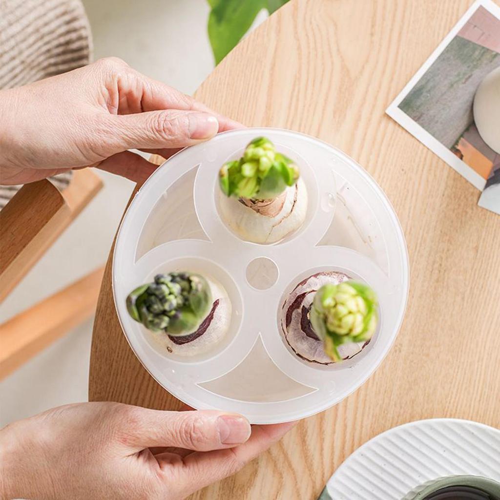 Hydroponic Planter 3 Hole Vase Flower Bulb Planting Container Hyacinth Planter Garden Windowsill Plant Pot Water Growing Kit