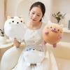 Cat Circular Kitten Ball Table Rest Pillow Face Down Kitten Ball Plush Pillow  Workplace