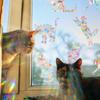 Rainbow Maker Sun Catcher Wall Stickers Cat Bird Star Mushroom Moon Sun Diy Window Glass Electrostatic Prisms Sticker