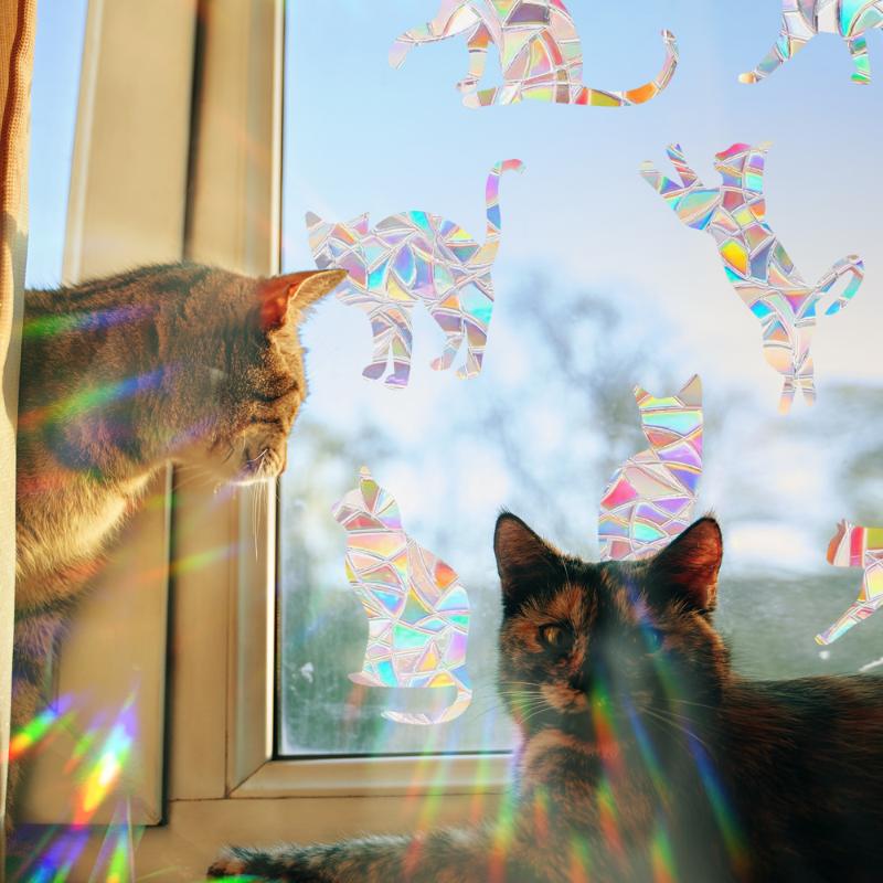 Rainbow Maker Sun Catcher Wall Stickers Cat Bird Star Mushroom Moon Sun Diy Window Glass Electrostatic Prisms Sticker