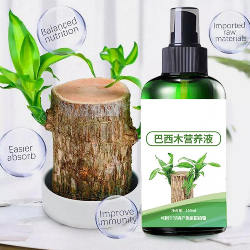 150 ml Brasilianischer Holzdünger Brasilianisches Holz Hydrokultur-Nährstofflösung Brasilianisches Holz Blüte-Nährstofflösung