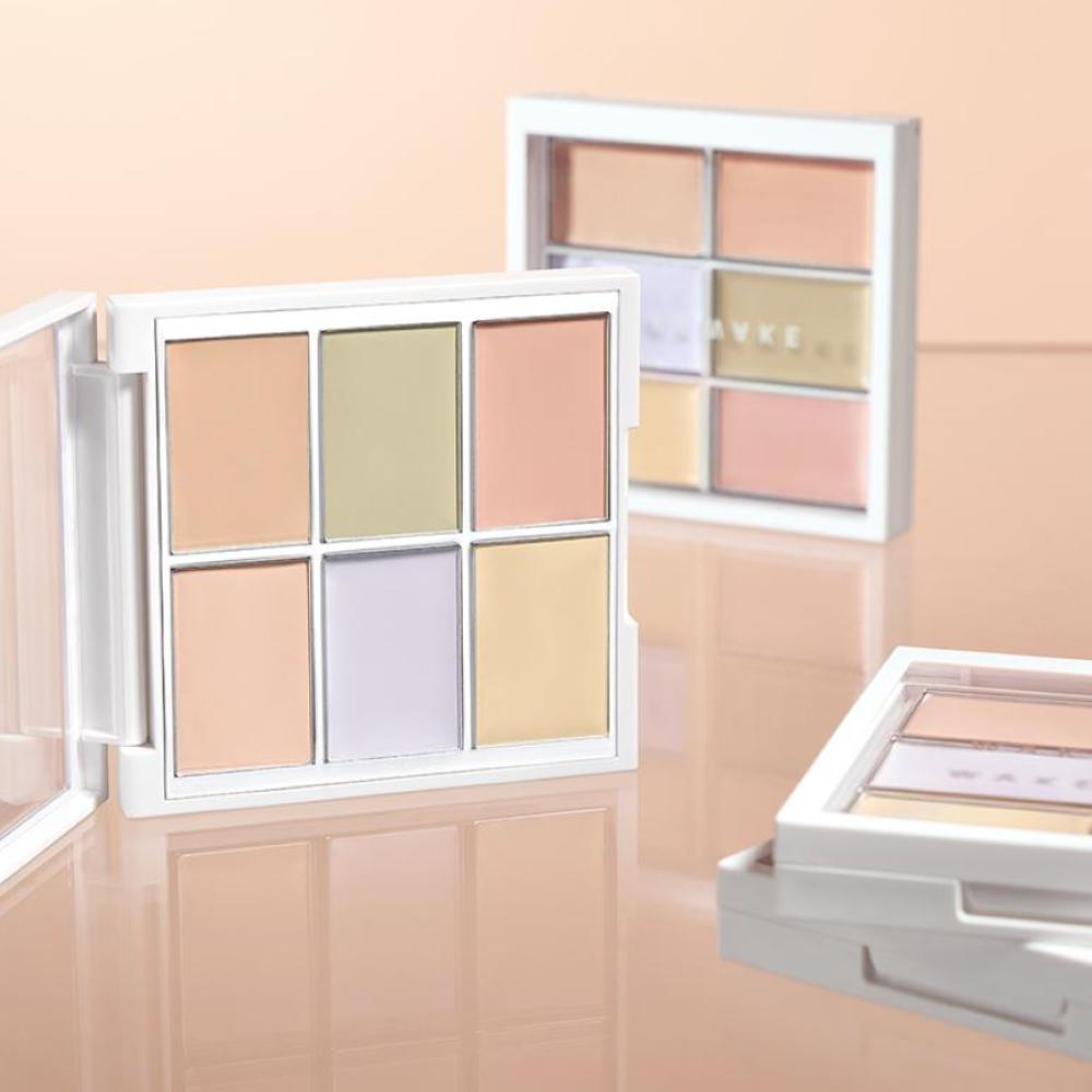 WAKEMAKE Defining Cover Conceal Fit Palette Special Set