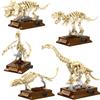 Zestawy Klocków Budowlanych Skamieniałości Szkieletów Dinozaurów Tyranozaur Pterozaur Diplodok MOC Kreatywne Zabawki Edukacyjne Prezent