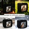2026 Windproof New Foldable Multi-Functional Extra Large Pet Tent, Training Equipment, Suitable for Indoor Play/outdoor Shading