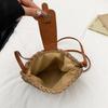 Summer Casual Straw Woven Crossbody Bag: Simple Vacation Style for Women