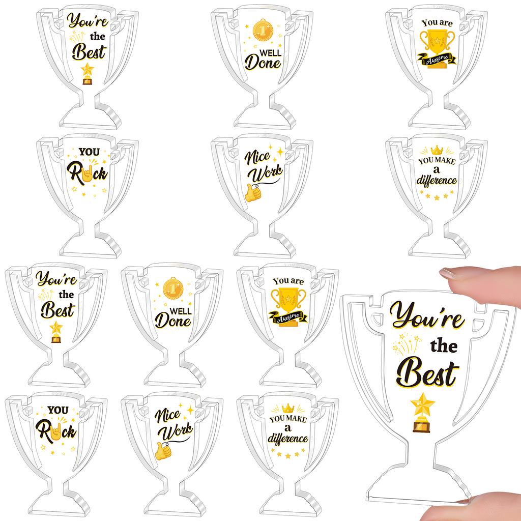 Piaopiaoniu 12 Pcs Appreciation Acrylic Trophy Awards Bulk Mini Employee Appreciation Gifts Small Thank You Plaque For Recogniti