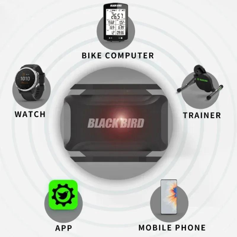 Black Bird Heart Rate Cadence Sensor Speed Speedometer ANT+ Bluetooth 5.0 Compatible with Garmin IGP Bryton Bike Computer