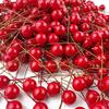 20Pcs Foam Artificial Holly Berry Mini Christmas Red Berry for Christmas Xmas Tree Ornaments Home Navidad New Year Decorations