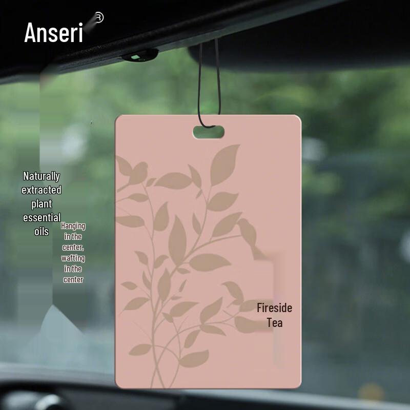 Многоцелевой подвесной освежитель воздуха Ancerui