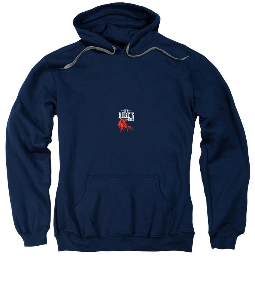 pbr hoodie