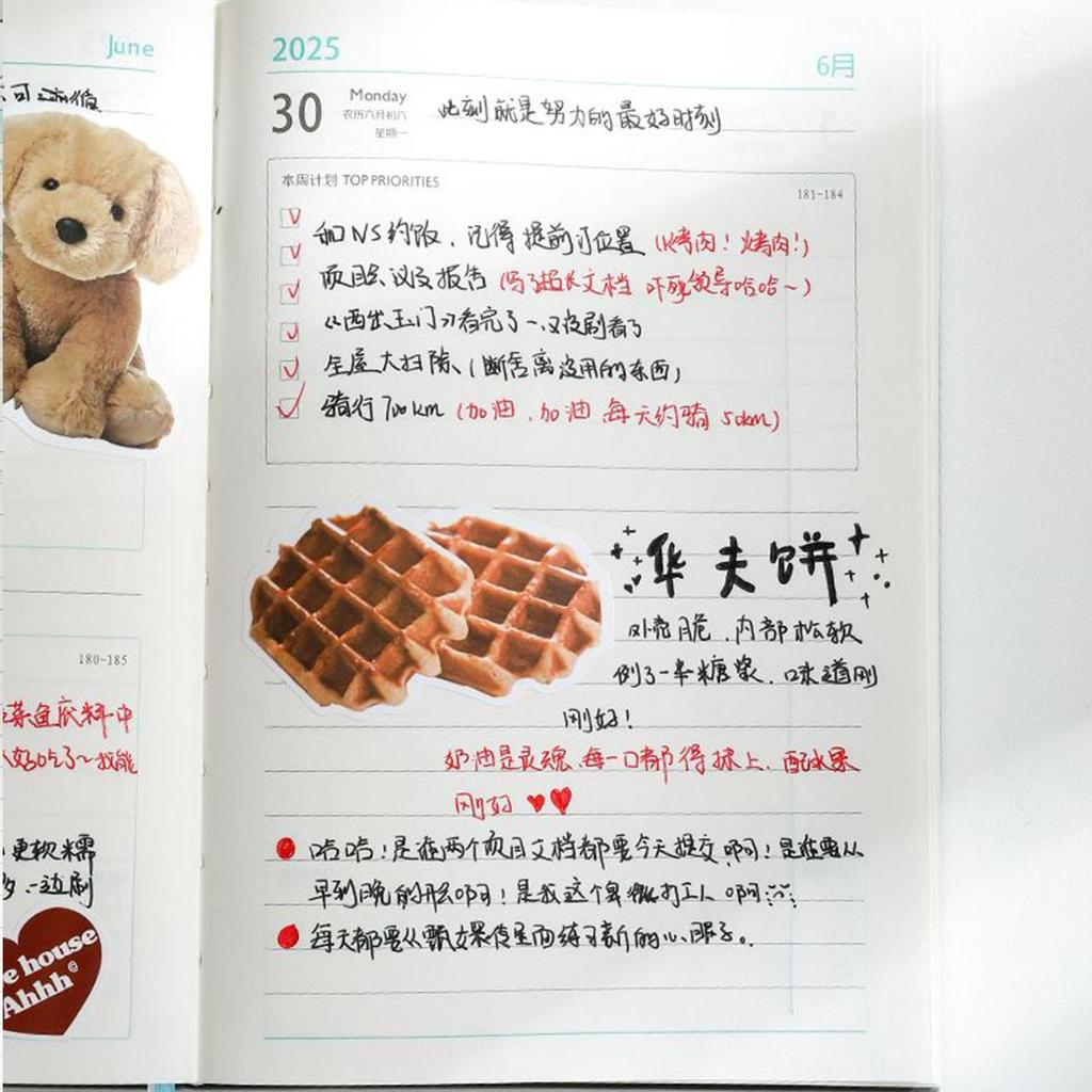 A5 thick leather student time planner, 2025 annual schedule, business notepad, 365-day daily planner, memo, notebook, 178 sheets, 356 pages