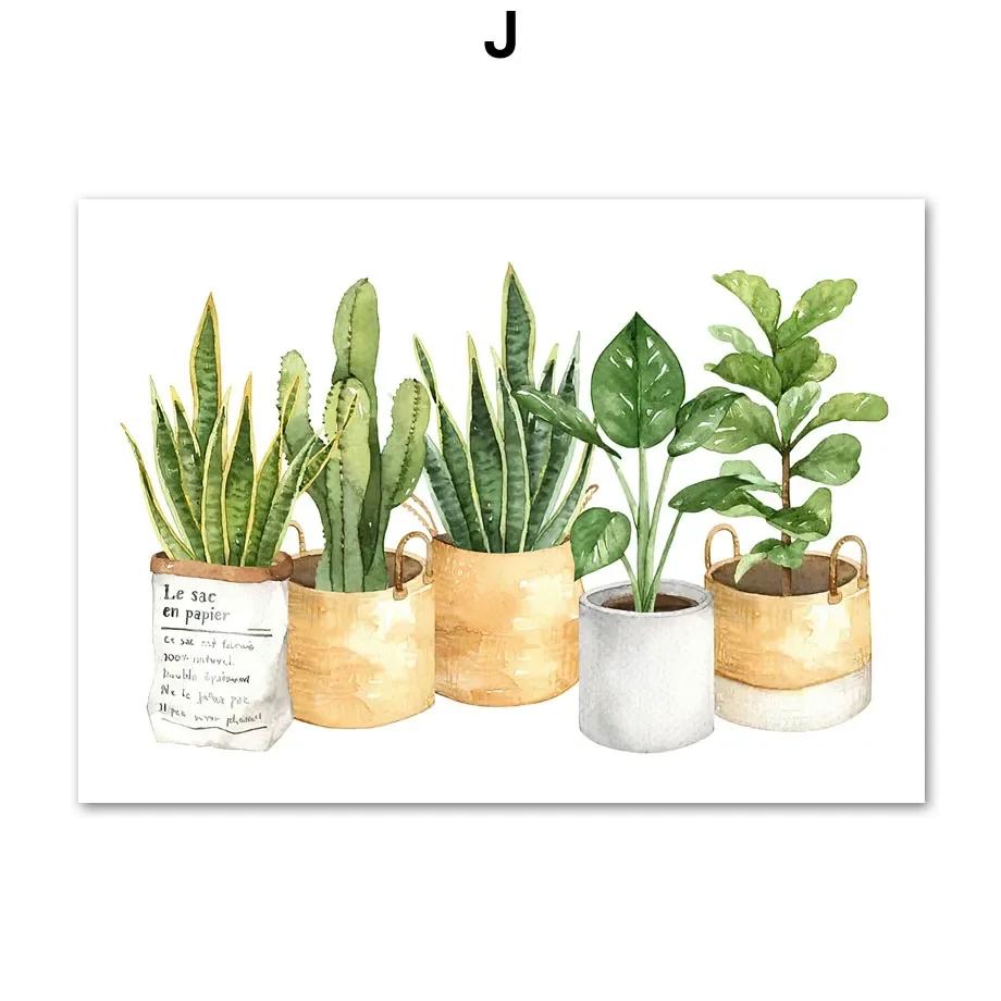 Cactus Tigre Pilan Monstera Piante Verdi Arte Murale Poster Nordici Pittura su Tela E Stampe Immagini da Parete Per Arredamento Soggiorno