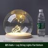 LED Sea Urchin Night Light with Preserved Flower in Glass Cover