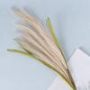 Fake Reed Grass Long-lasting Fade-resistant Realistic Artificial Pampas Grass for Home Wedding