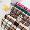 Autumn and Winter New Korean Lines Color Matching Imitation Cashmere Plaid Simple and Versatile Shawl Fringed Warm Scarf Women