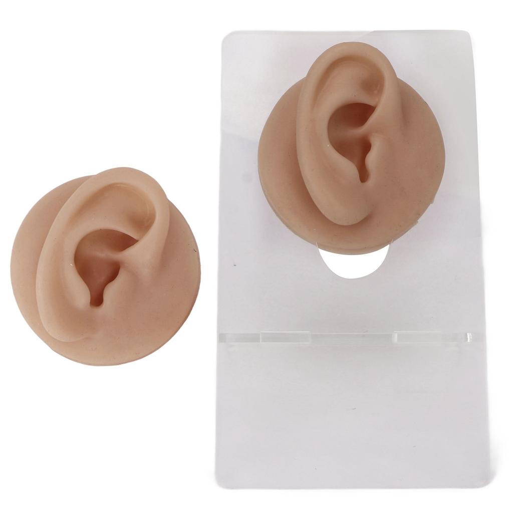 Ear Model Soft Silicone High Simulation Clear Structure Human Ear Model for Piercing Practice