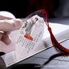 Chinese Leaf Vein Bookmark with Li Qingzhao Poetry - Elegant Student Gift and Souvenir