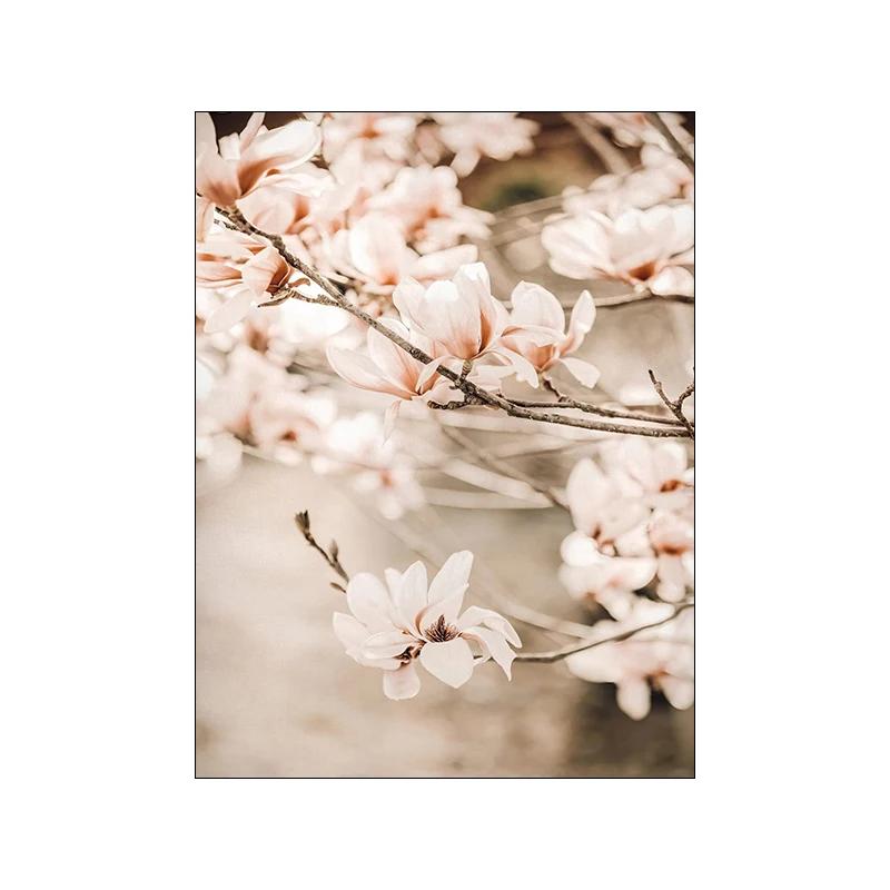 Nowoczesny Nordycki Obraz Płócienny z Kwiatami Trawy, Boho Nadmorski Krajobraz, Plakat i Druk na Ścianę do Dekoracji Domu, Salonu