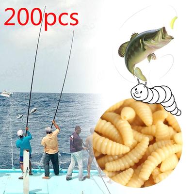fishing maggots for sale near me
