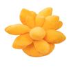 25cm Lifelike Succulent Plants Plush Stuffed Toys Soft Doll Creative Potted Flowers Pillow Chair Cushion for Girls Kids Gift