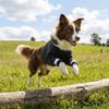 Breathable Dog Leg Support Sleeve Soft Dog Knee Pads Dog Recover Legs Pad  For Dog Front Leg