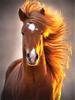 Pittura Diamante 5D Nuovi Arrivi Cavallo Ricamo Rotondo Completo Animali Mosaico Regalo Fatto a Mano Decorazione per la Casa