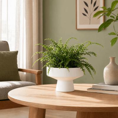 Pot de Plante à Base Large et Peu Profonde INS Plastique Pot de Décoration de Bureau Minimaliste Moderne Poreux Pot pour Boule de Mousse Arrangement Floral