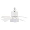 Ceiling Fan with Light 3 Colors Dimmable Quiet LED Ceiling Fan Lamp Screw in E26 Base Timer Function APP Control