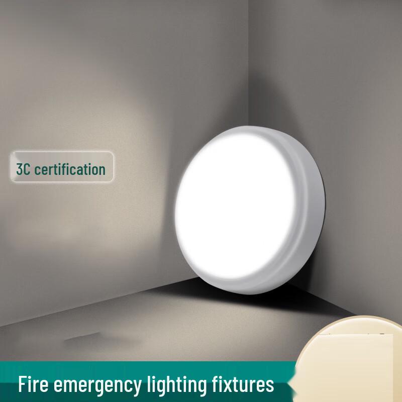 Weatherproof LED Emergency Ceiling Light 1