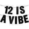 Pre Strung - 12 Is a Vibe - Black Glitter Banner, 12th Birthday Decorations for Girls & Boys, 12 Year Old Decor Gifts Sign