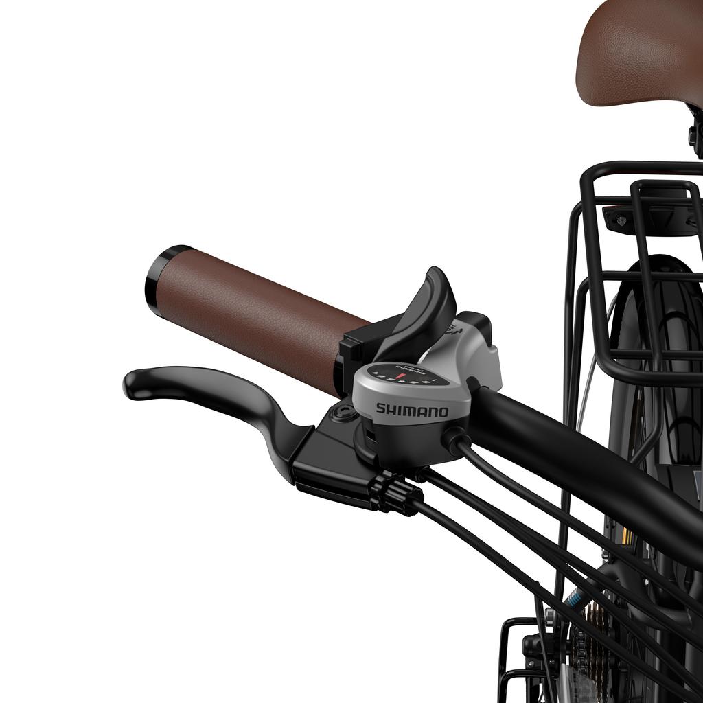 FAFREES F26 Lasting Electric Bike 36V 20.3Ah Battery, 250W Motor, 80-100KM Range, 26*1.95 Inch Tires E-Bike