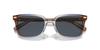 Sunglasses HC8398U CR630 PECAN BLUE GRAY GRADIENT 54 [Coach] Men's