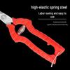 Labor-Saving Garden Shears for Pruning, Fruit Picking, Flower Trimming, and Thorn Removal