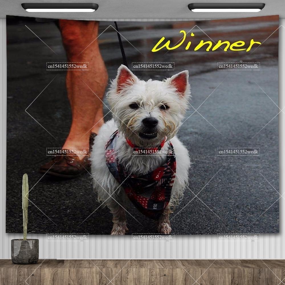 Alex G Trick Album Cover Tapestry Wall Art Posters Aesthetic Bedroom Decorative Print Tapestrys Macrame Farbic Tapestry For Room