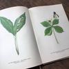 [USED] Botanical encyclopedia, foreign books, Czech botanical encyclopedia, botanical art
