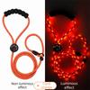 Guinzaglio Luminoso per Animali Domestici con Ricarica USB Super Luminoso LED Guinzaglio per Passeggiate con Cani Guinzaglio Illuminato Escursionismo Notturno