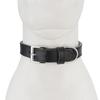 Leather Dog Collar,Soft Padded PU Dog Collars with Heavy Duty Buckle,Durable & Comfortable for Small Medium Large Dogs Walking