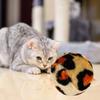 20Pcs/Set Cat Mouse Crinkle Balls Toys Set Interactive Cat Toys Catnip Teaser Wand Fluffy Mice Balls