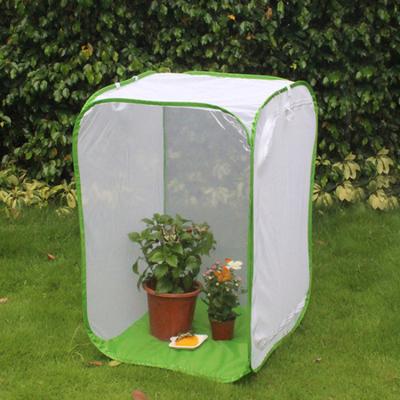 Faltbarer Schmetterlingskäfig Pop-up Netzzelt mit Reißverschlusstür Schmetterlings-Habitat-Käfig Insektenhaus zur Aufzucht von Raupen und Schmetterlingen