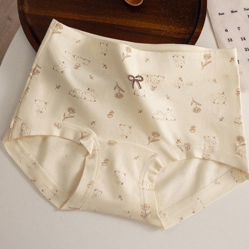 Plus Size Women's Floral Cotton 10A Anti Bacterial Non Scratch Full Hip Extended Crotch Small Flat Angle Briefs