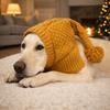 Sombrero de Punto Transpirable Elástico para Perro Cubre Orejas Acogedor Envoltura para Cabeza de Mascota con Bola Calentador para Cuello y Cabeza Protector Uso Diario