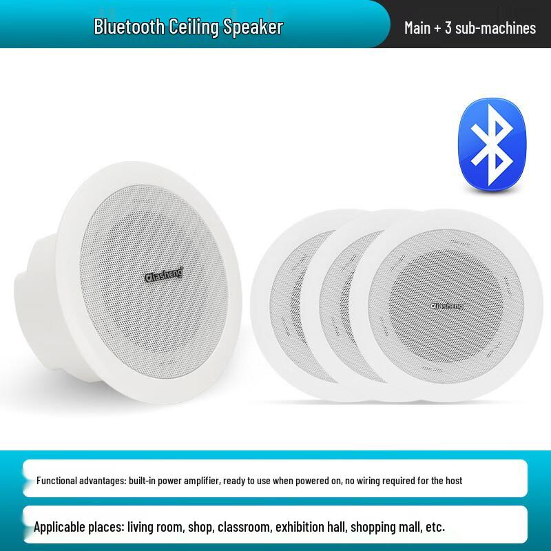 QIASHENG Commercial Bluetooth Ceiling Speaker System